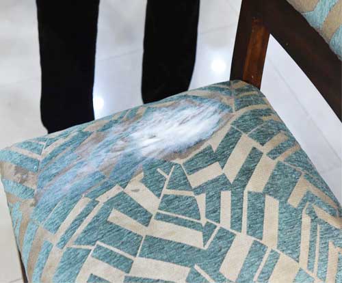 Carpet & Upholstery Cleaning