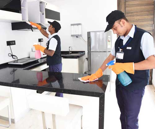 Deep Kitchen Cleaning